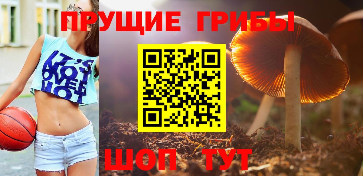 Гагарин  Галлюциногенные грибы MAGIC MUSHROOMS  Вход с VPN 