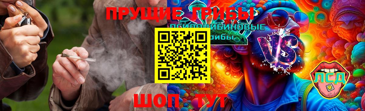 Галлюциногенные грибы Cubensis Гагарин